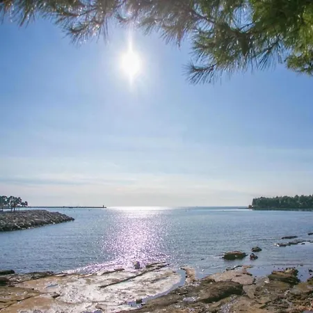 With Bubble Bath In Istria ヴィラ *