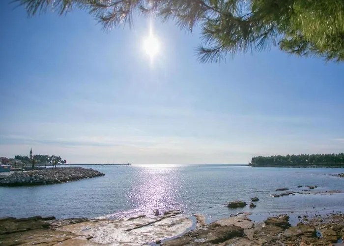 With Bubble Bath In Istria Vila *